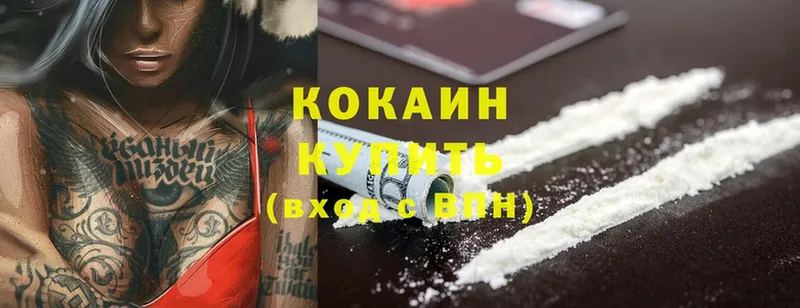 Cocaine FishScale  Нижняя Салда 