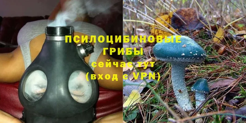 Псилоцибиновые грибы Psilocybine cubensis  магазин продажи   Нижняя Салда 